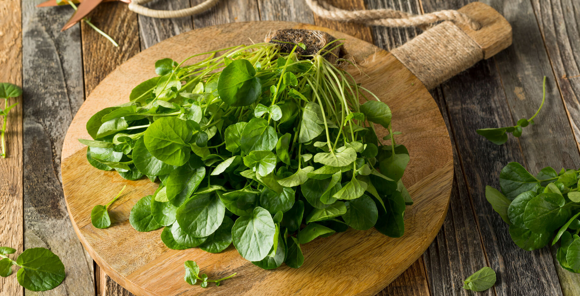 Why the World’s Healthiest Vegetable Rarely Makes It to Dinner