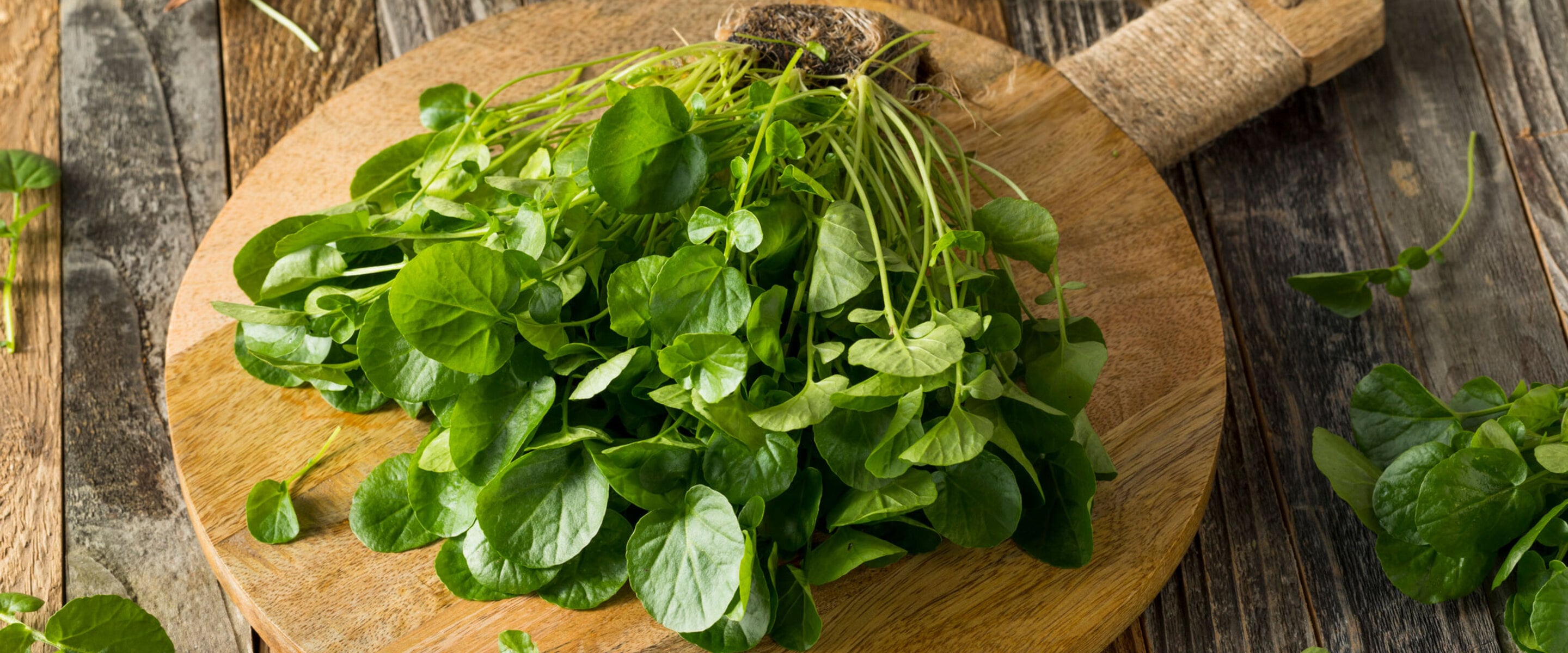 Why the World’s Healthiest Vegetable Rarely Makes It to Dinner