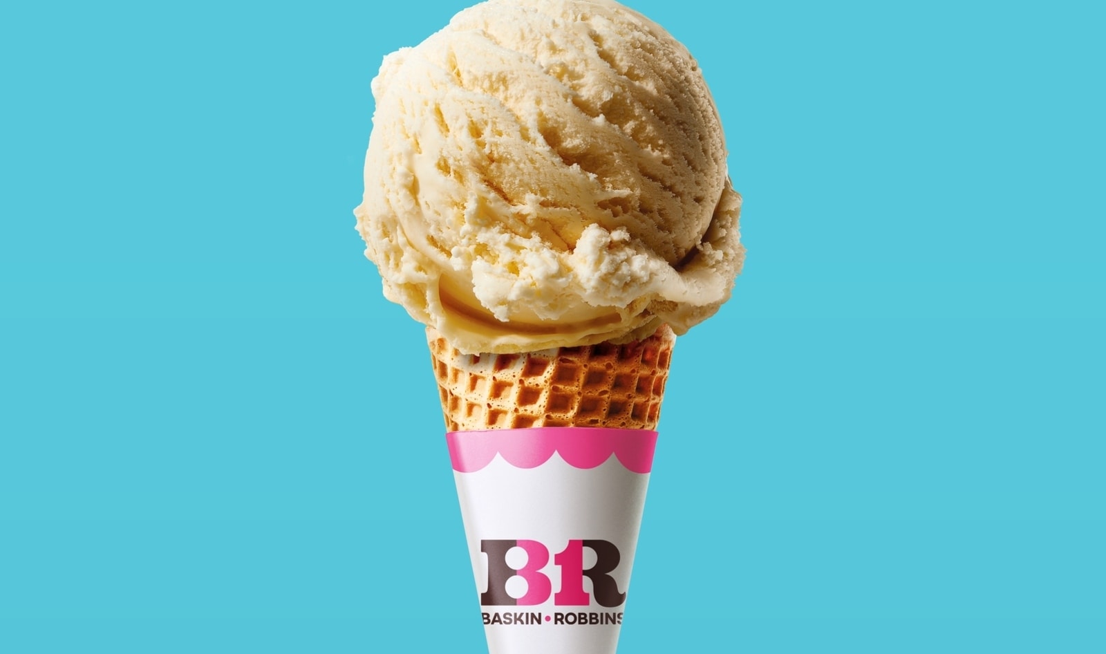 Why the Heir to the Baskin-Robbins Ice Cream Empire Walked Away From It All