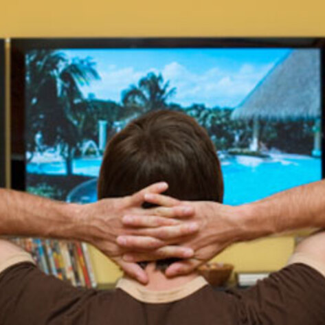 TV's Biggest Vegetarian Stars