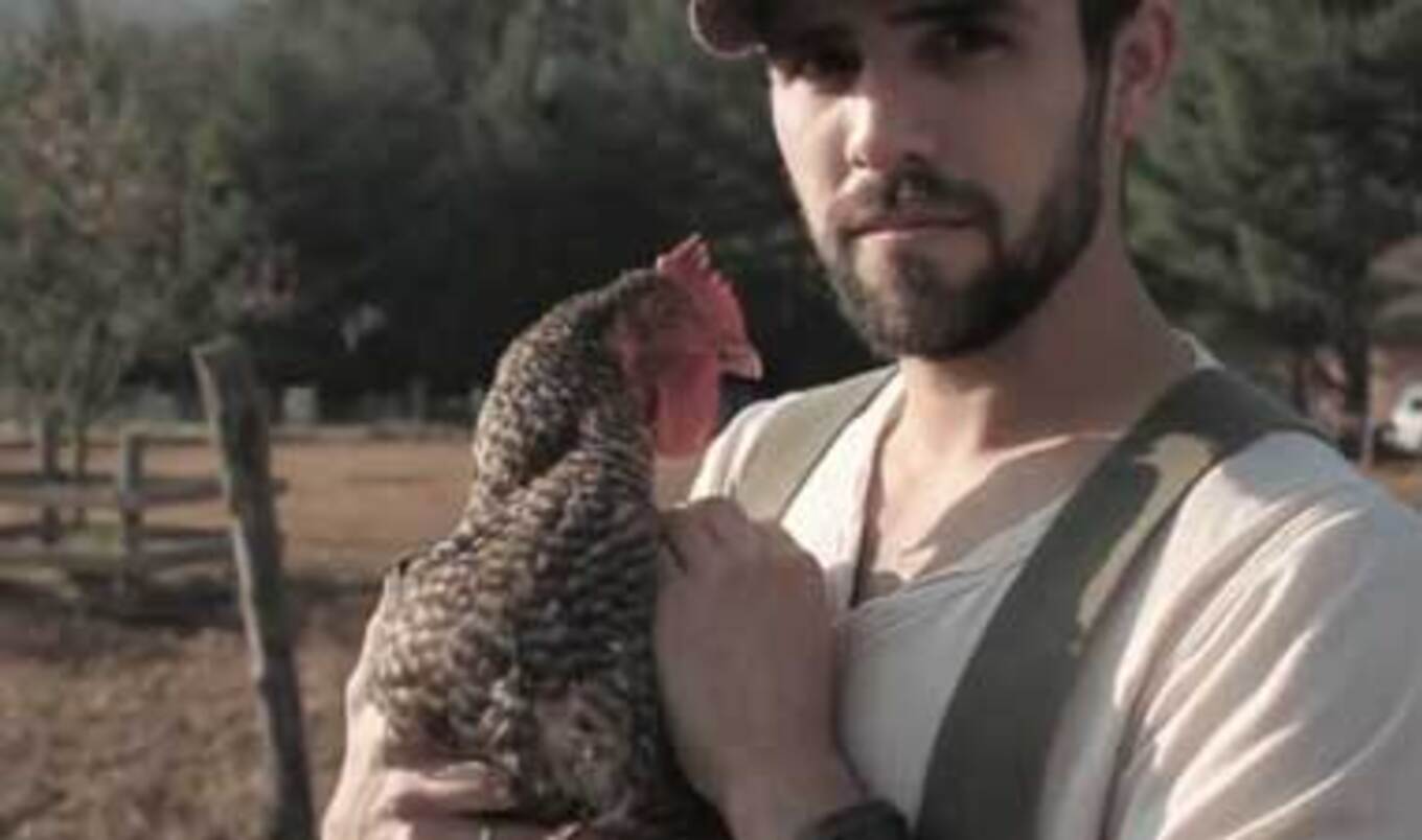 New Video Explores Human-Animal Relationship