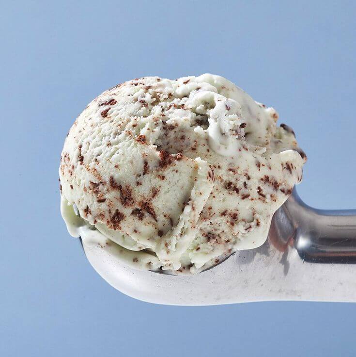 Salt and Straw Freckled Mint Chocolate Chip