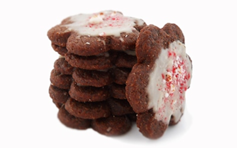 Chocolate Sugar Cookies with Candy Cane Frosting