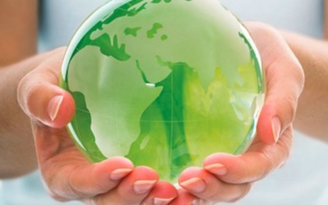 <i>Today</i> Show Website Gives Vegan Earth Day Advice