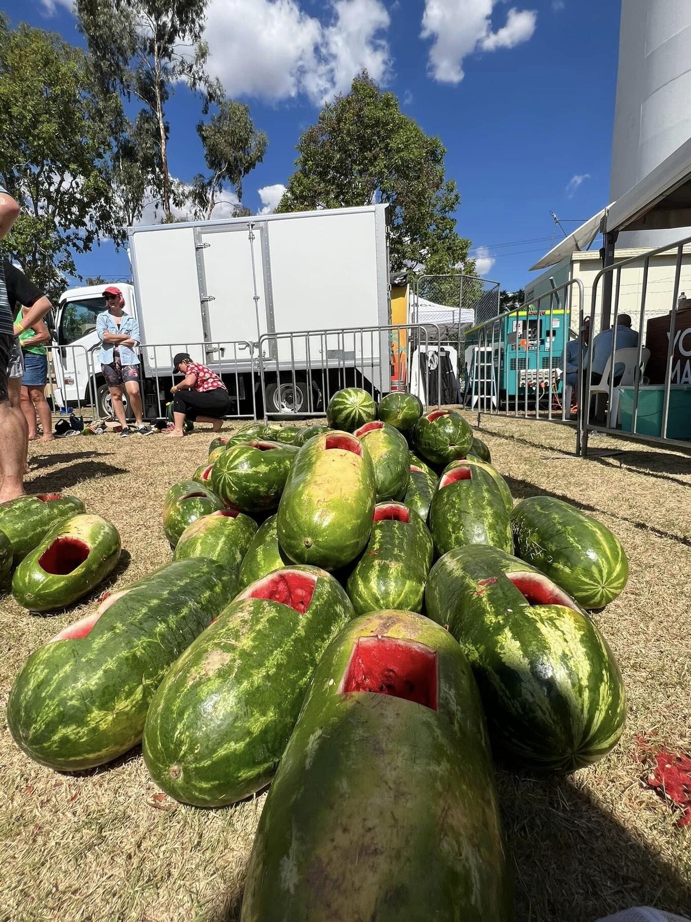 melons at melon festival