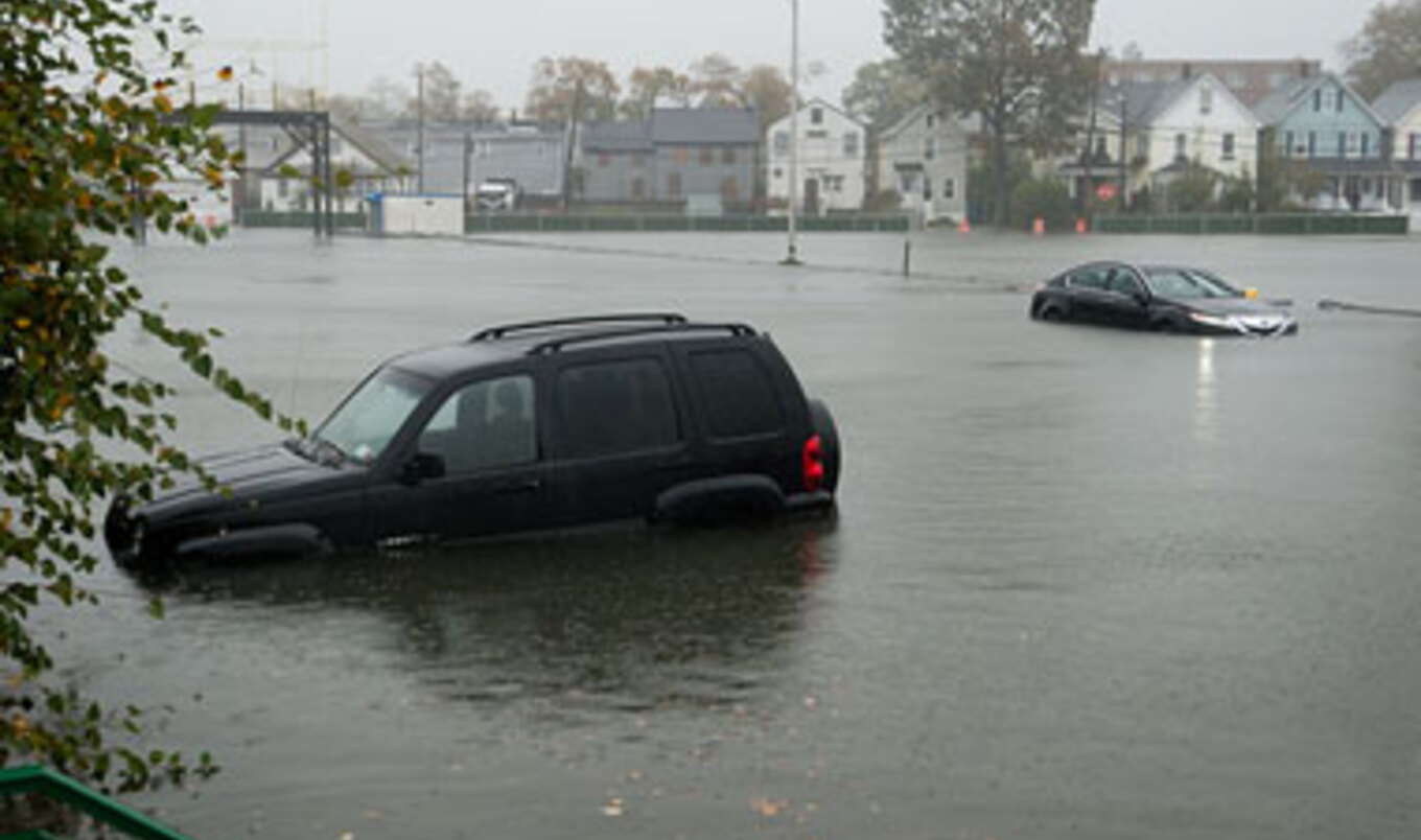 8 Veg Companies Helping with Sandy Relief Efforts