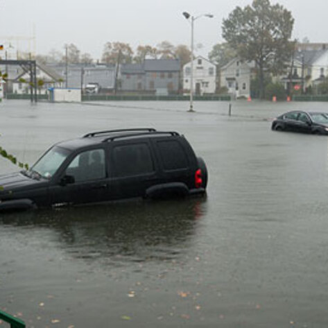 8 Veg Companies Helping with Sandy Relief Efforts