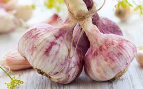 Studies Find Garlic and Flax Lower Blood Pressure