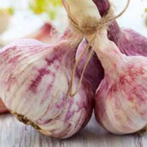 Studies Find Garlic and Flax Lower Blood Pressure
