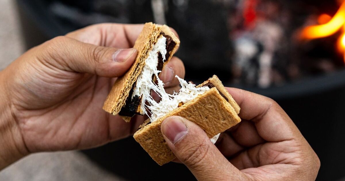 Don’t Let Summer End Without Trying These Vegan S’Mores Recipes