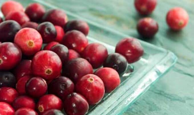fresh_cranberries_featurette