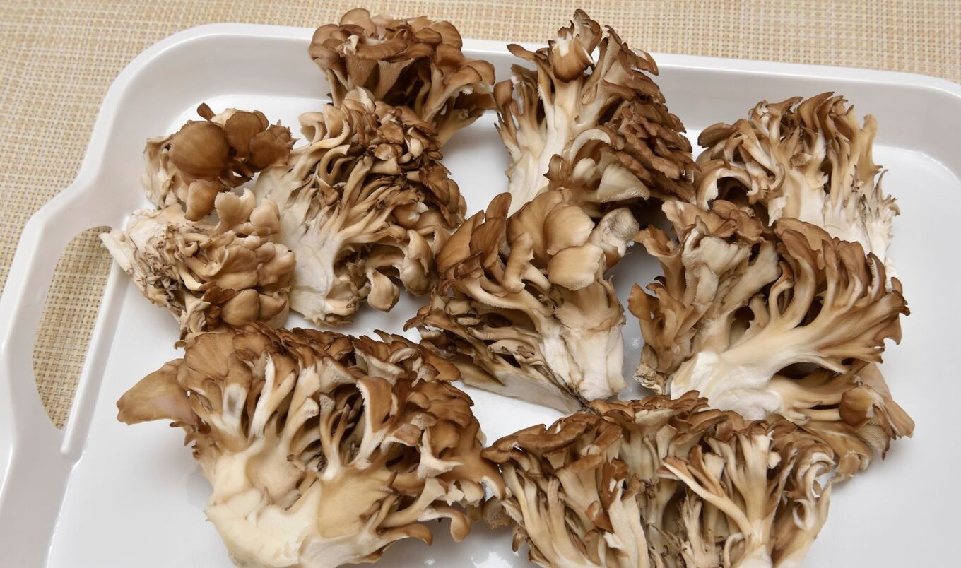 Maitake mushrooms