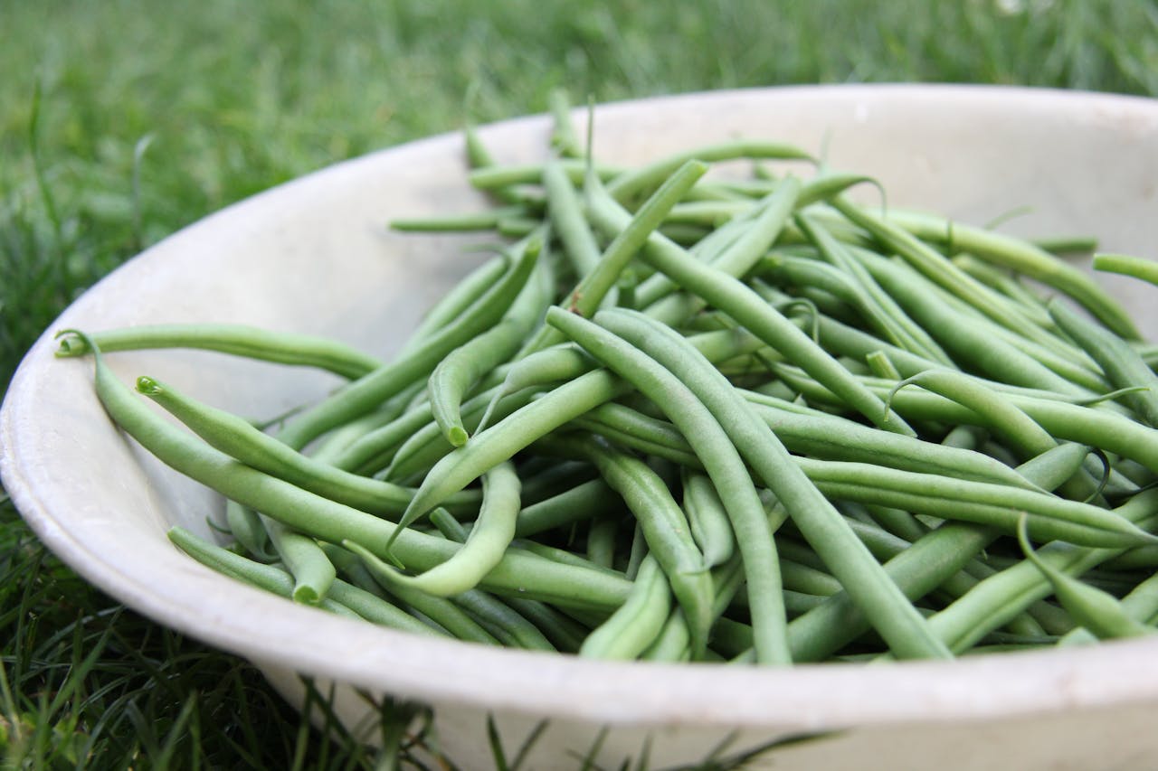 bowl of green beans