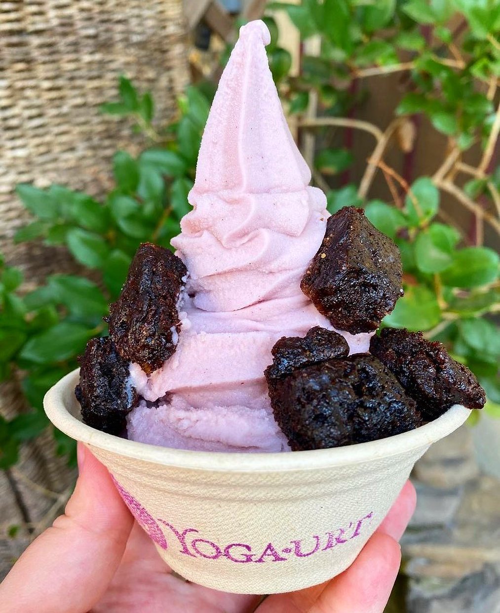  Ultimate Ube yoga-urt