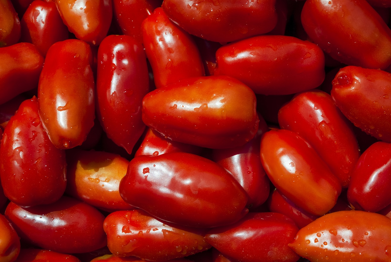 San Marzano tomatoes