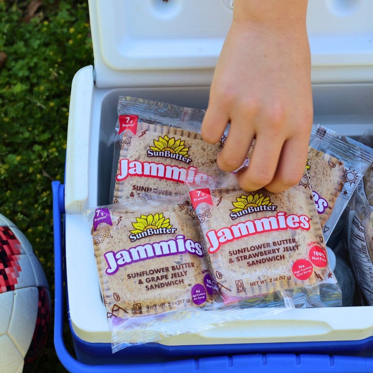 sunflower butter jelly sandwiches