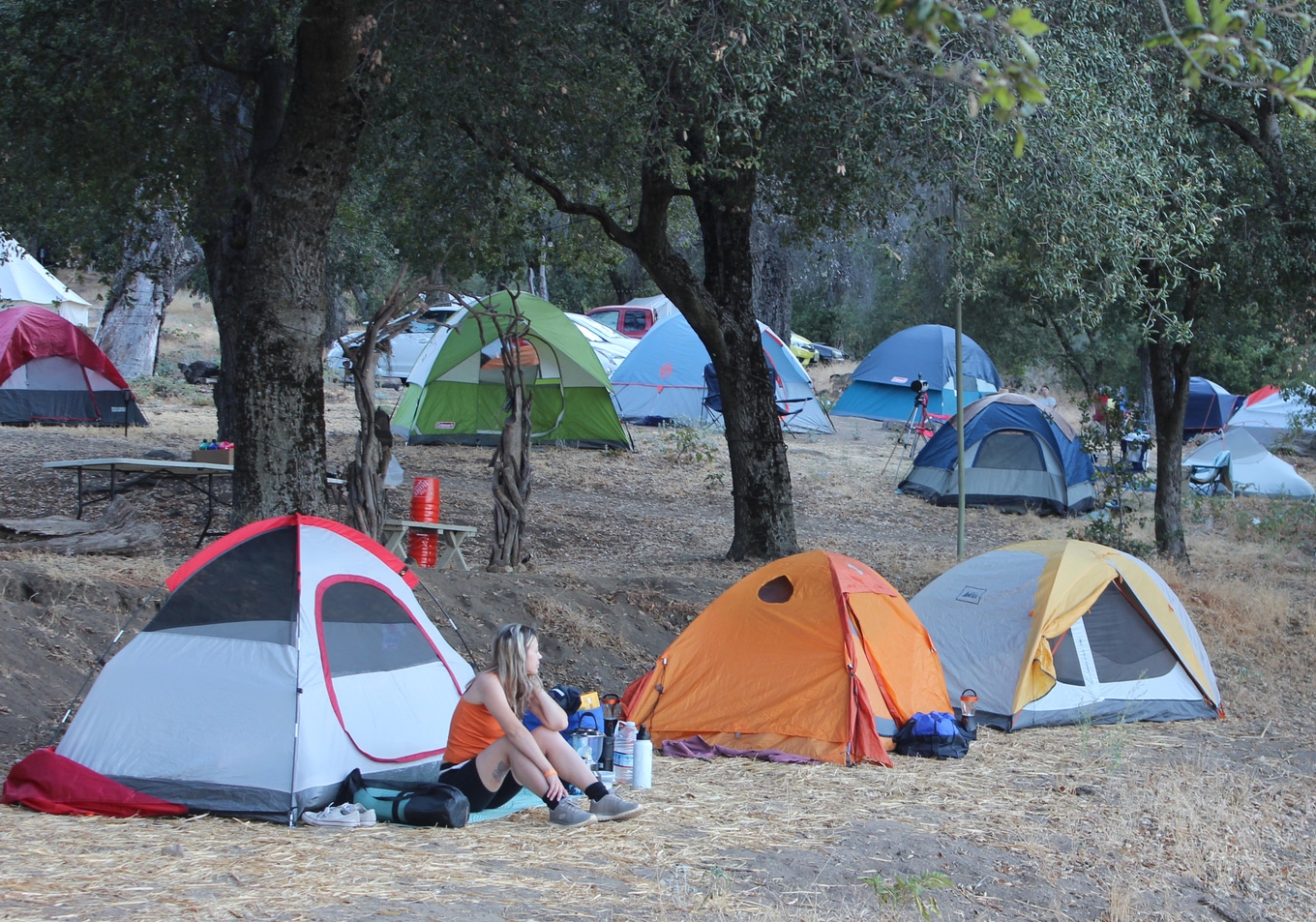 Camp-Out