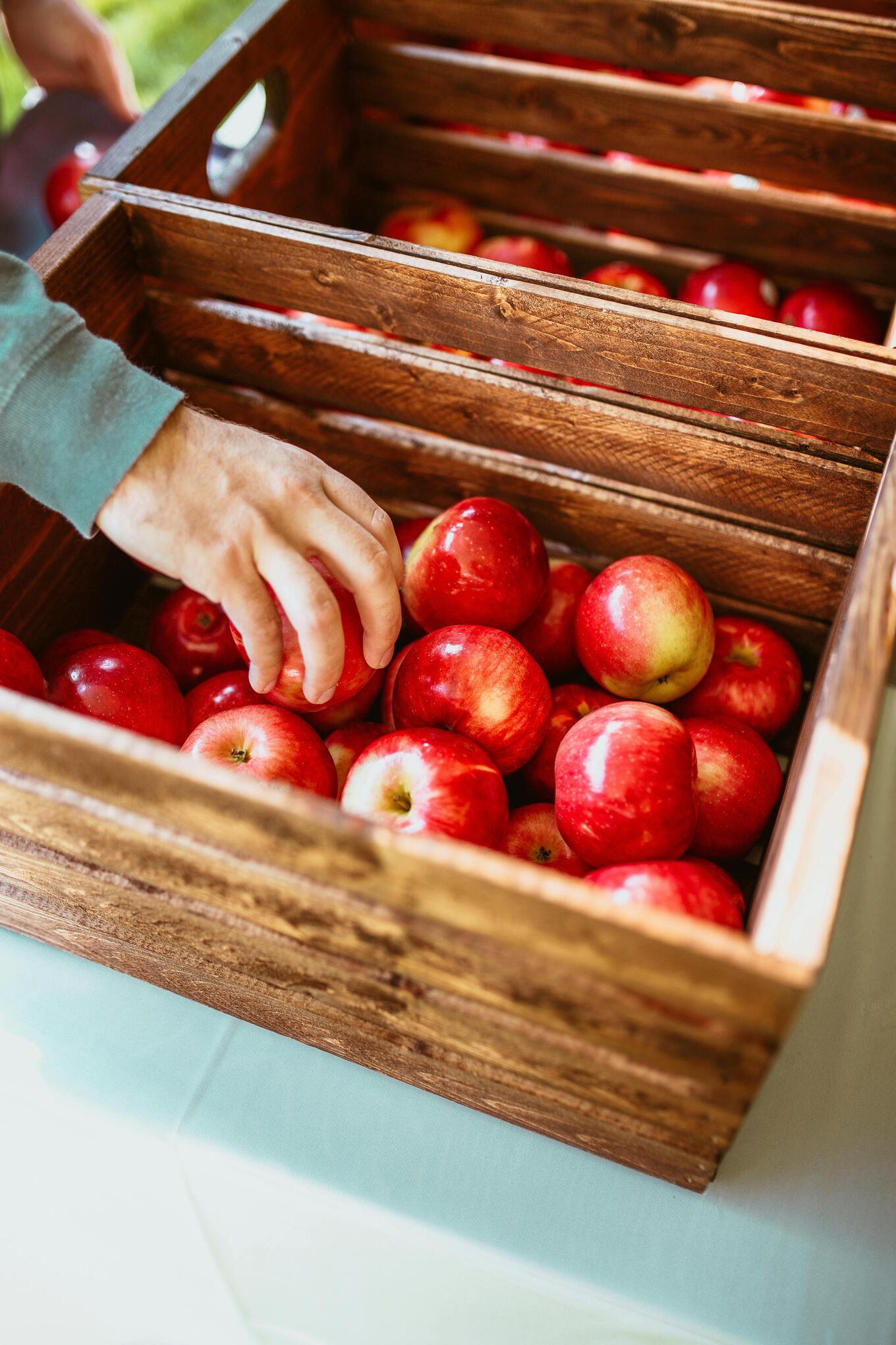 apples pexels josh hild