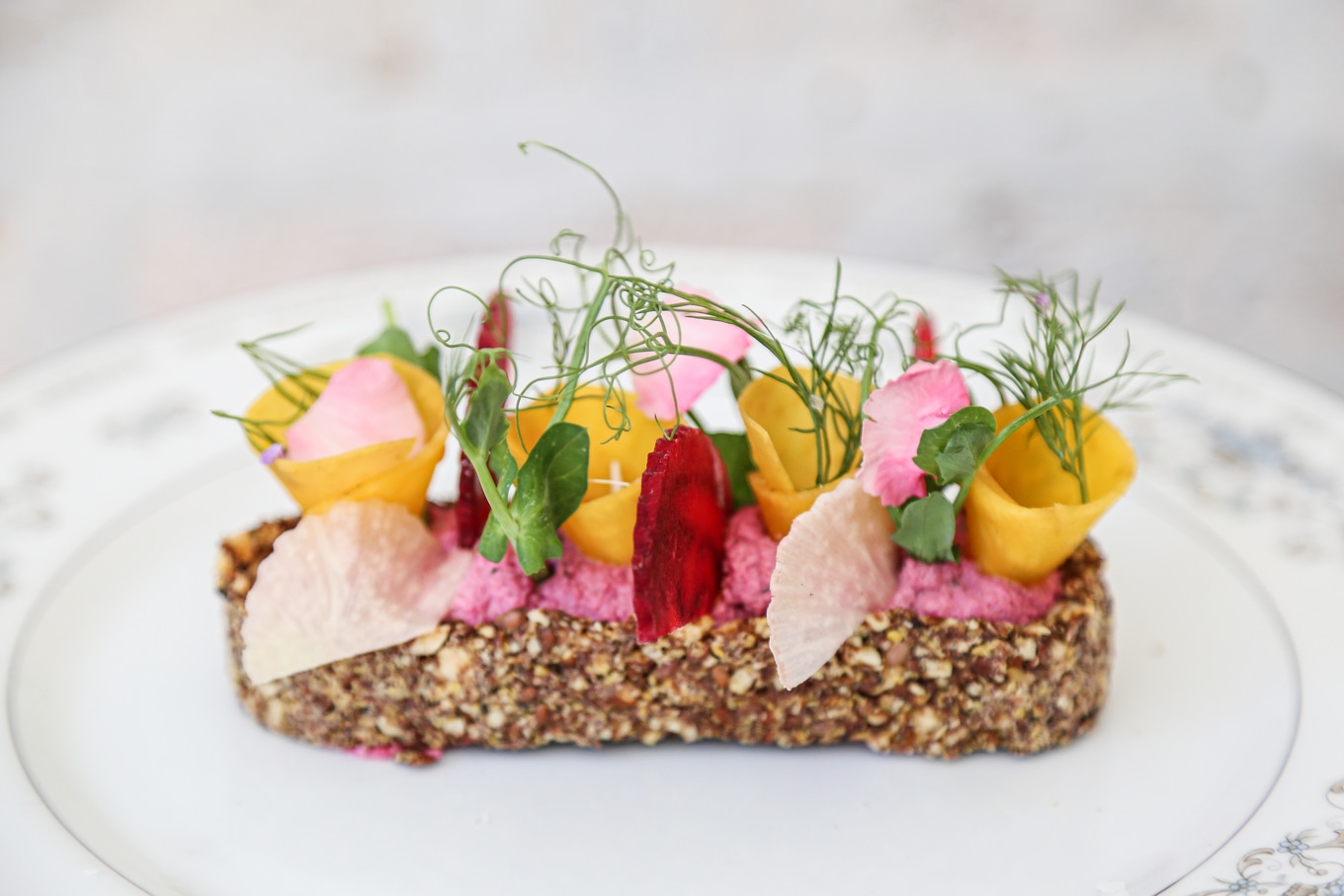 TruffleBeetTart bloom