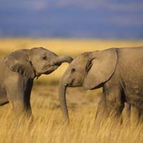 Activists Sue Seattle