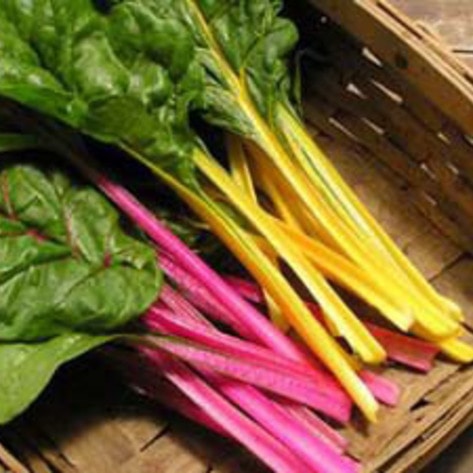 Breaking the Milk Myth