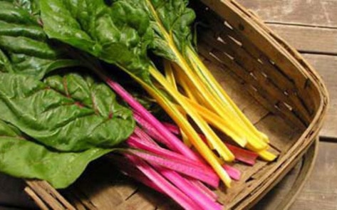 Breaking the Milk Myth