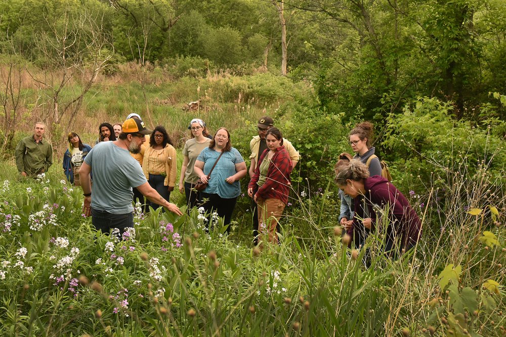 foraging group