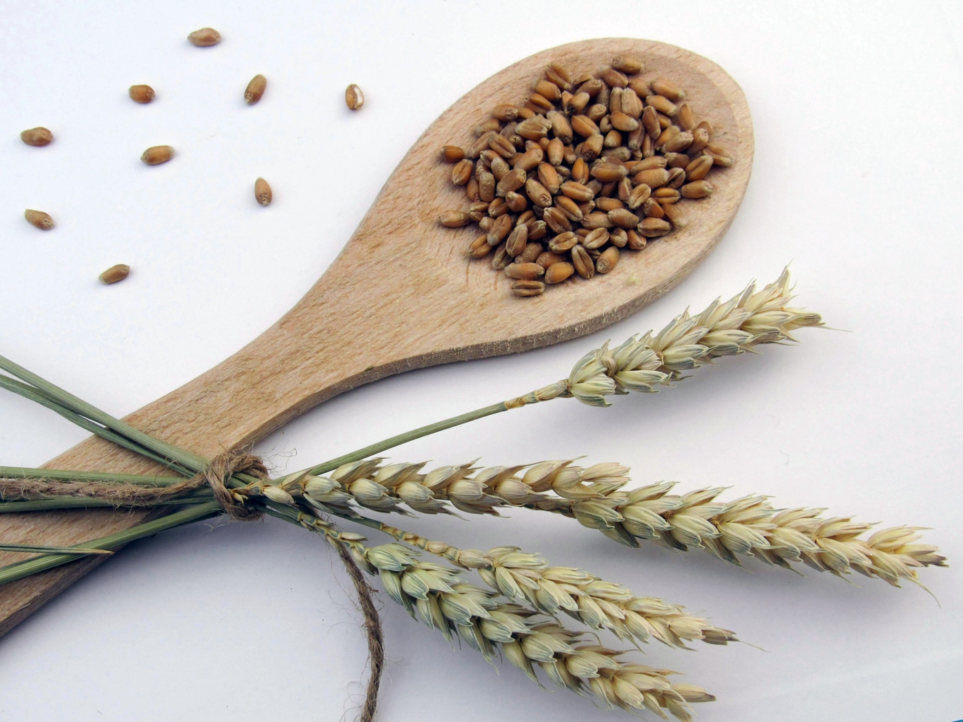 Wheat Berries