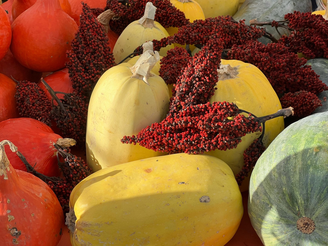 Sumac