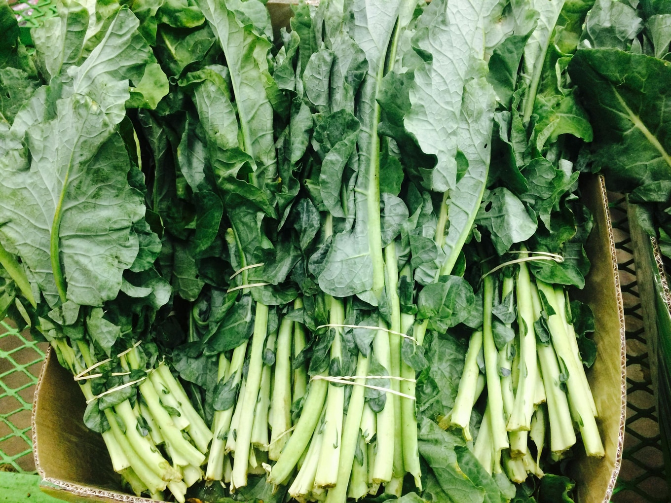 Collard-Greens