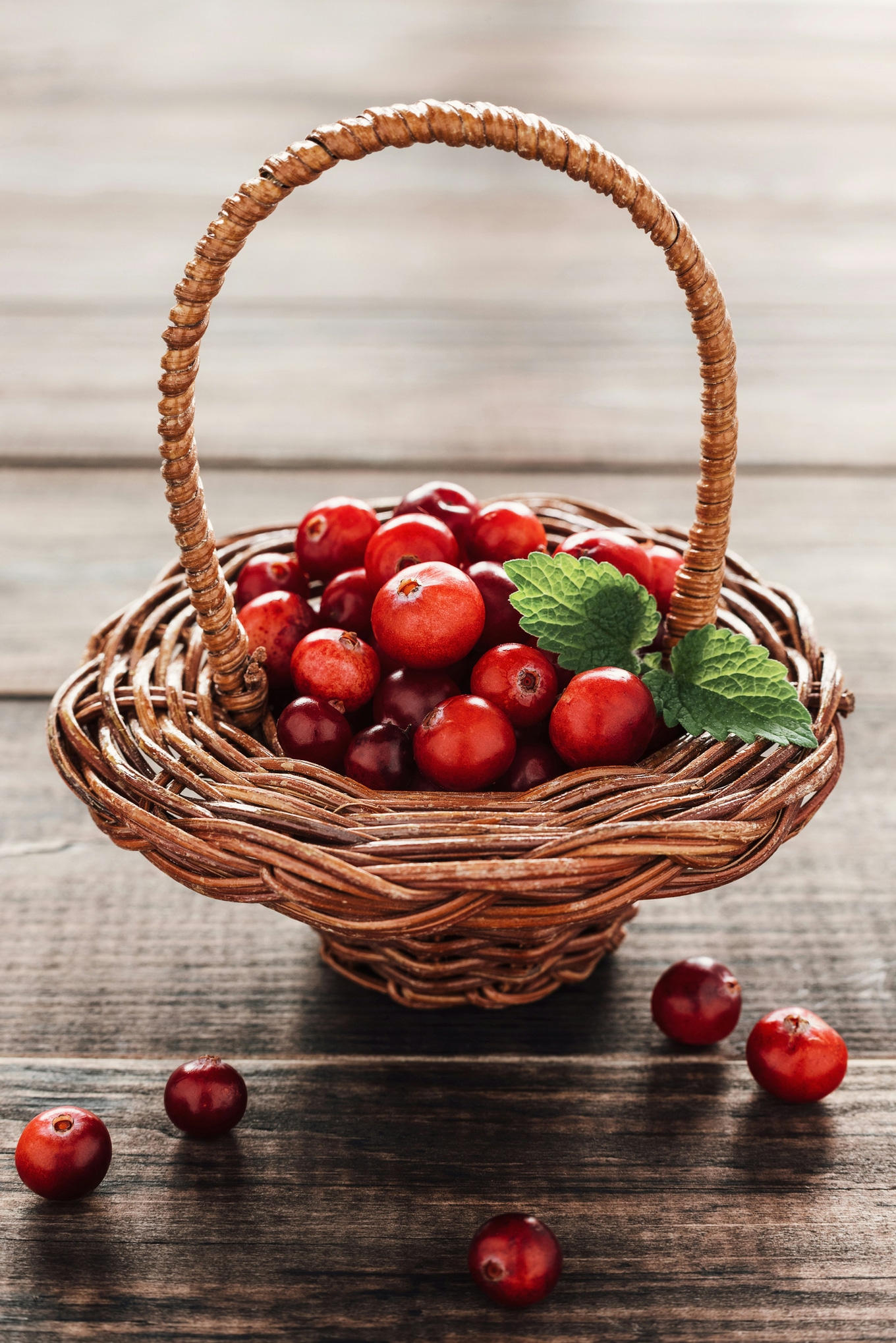 Cranberries are Good for Your Heart, Gut, and Brain: Eat More With These 6 Recipes