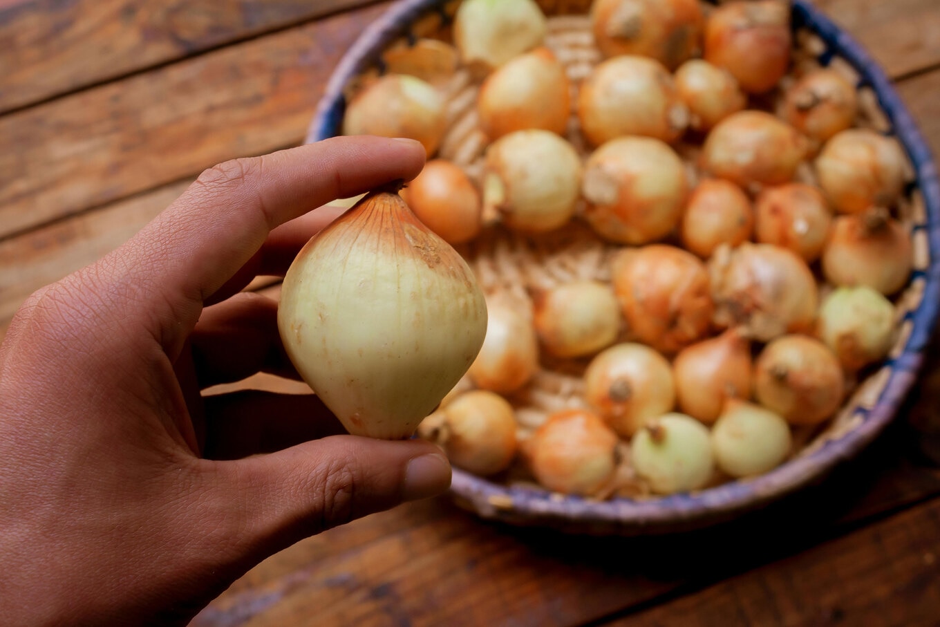Onion2