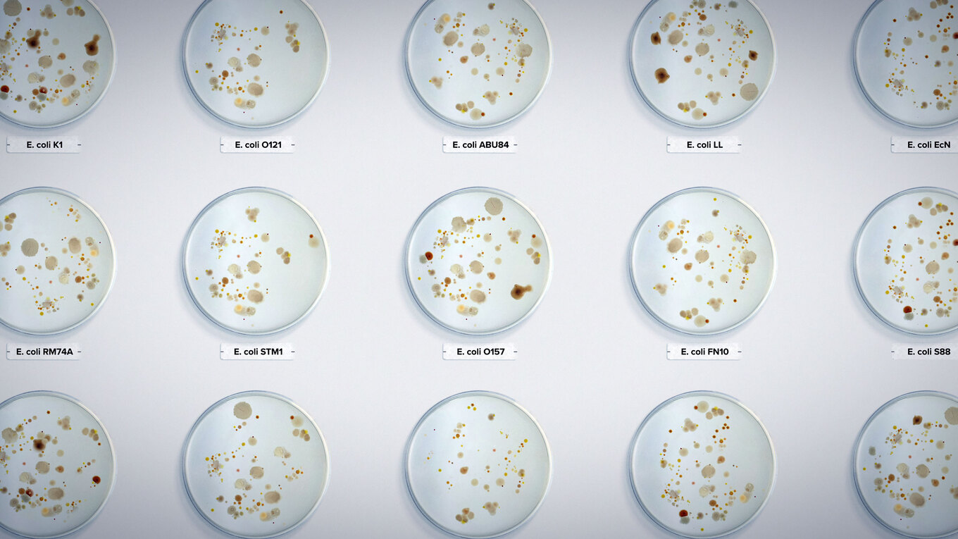 Food Safety News team reviews Netflix's 'Poisoned: The Dirty Truth About Your Food