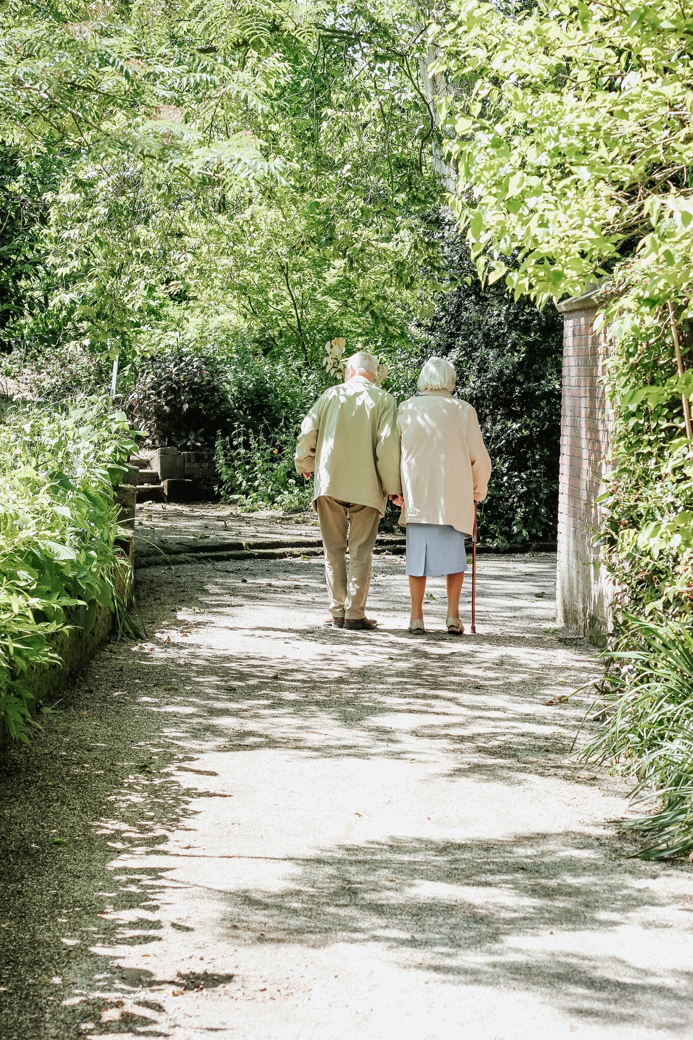 VegNews.Seniors.MicheileHenderson.Unsplash