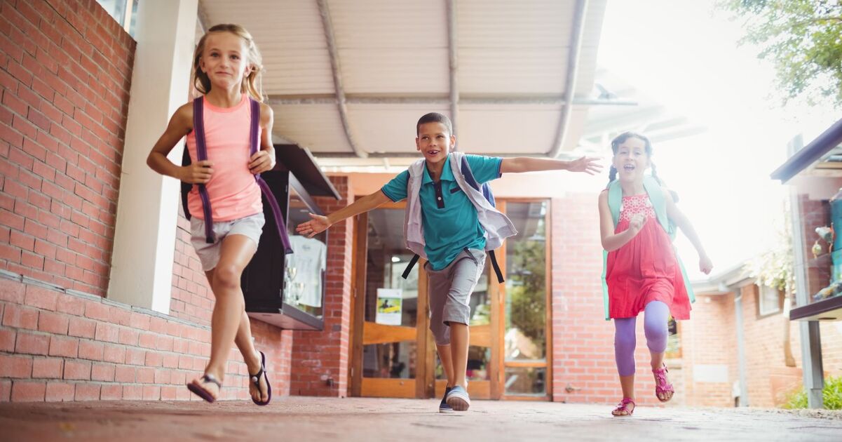 1 in 4 School Meals Aren’t Nutritious. What If Every School Lunch in the US Was Plant-Based?