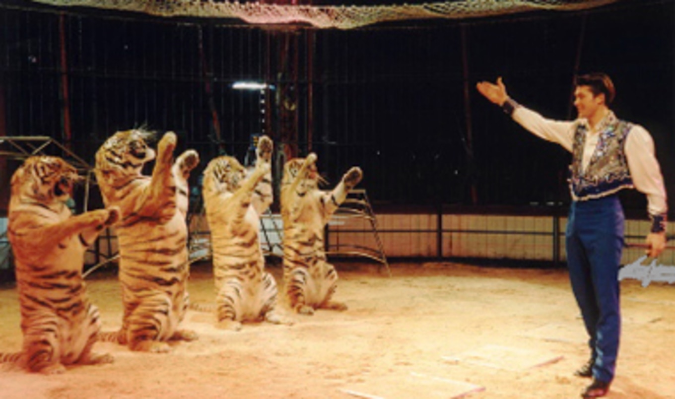 Colombia Prohibits Use of Animals in Circuses