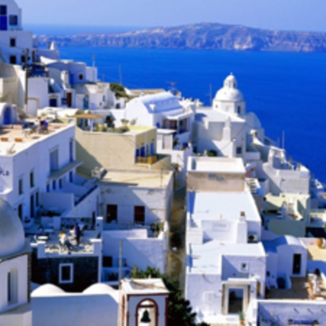 Greece Bans Animal Circuses