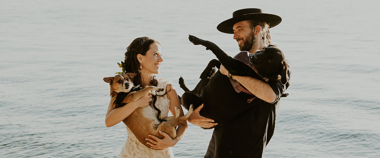 How This Couple's Dogs Made This Western-Bohemian Wedding Possible