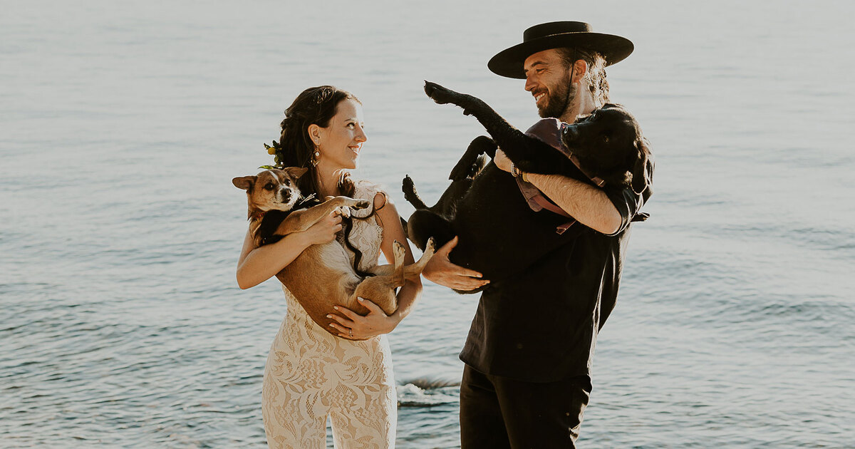 How This Couple’s Dogs Made This Western-Bohemian Wedding Possible
