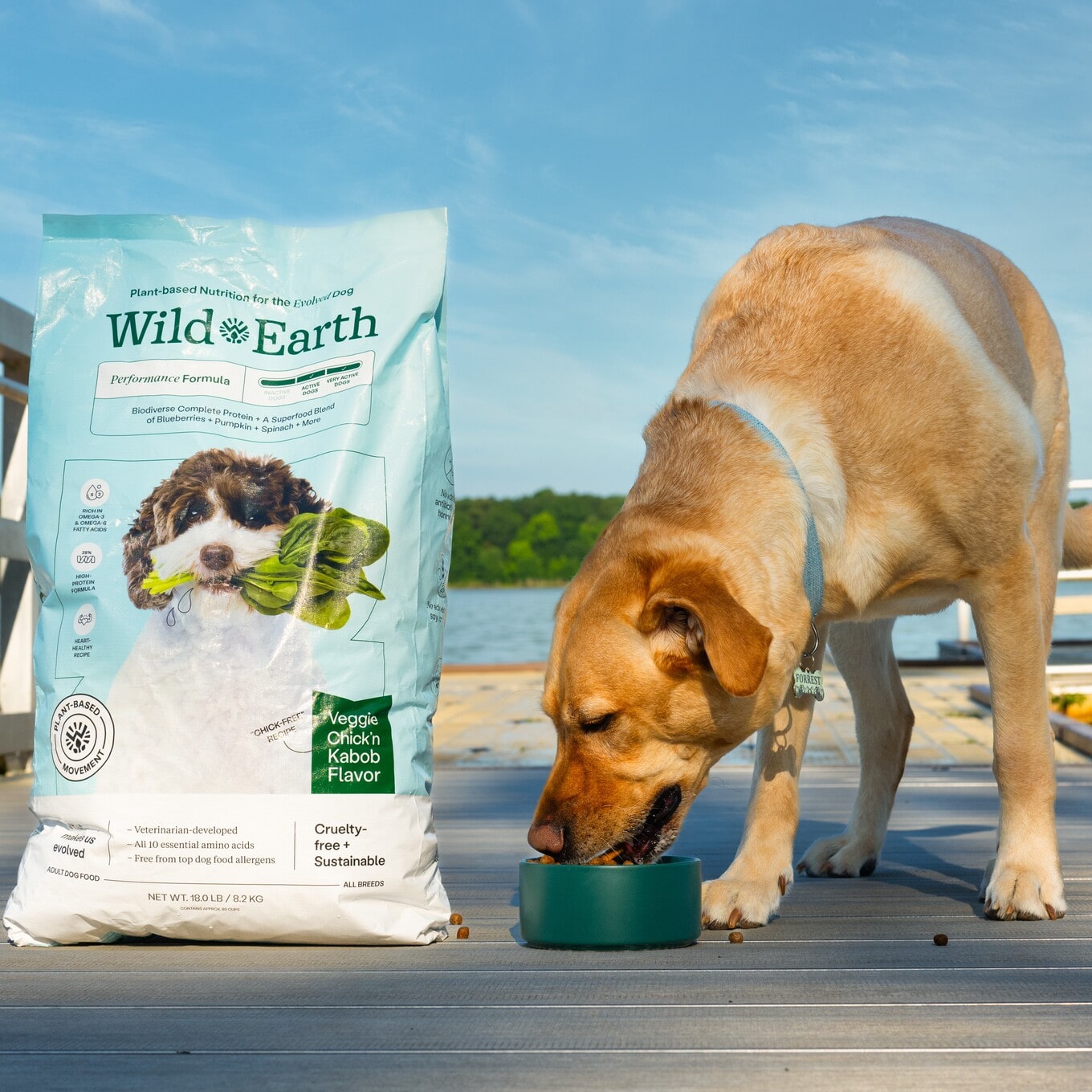 VegNews.VeganDogFood4.WildEarth