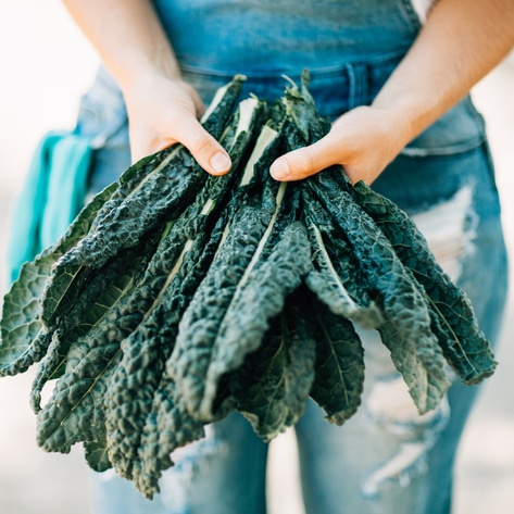 You'll Never Guess What Researchers Are Using Leftover Kale for Now