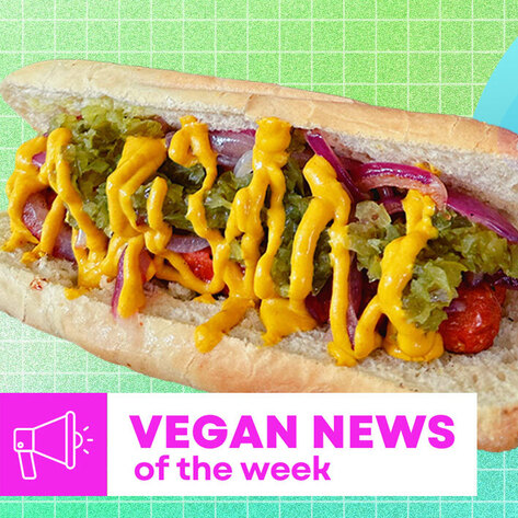 Vegan Food News of the Week: Hart House Party Shake, Better Chicago Dog, and More