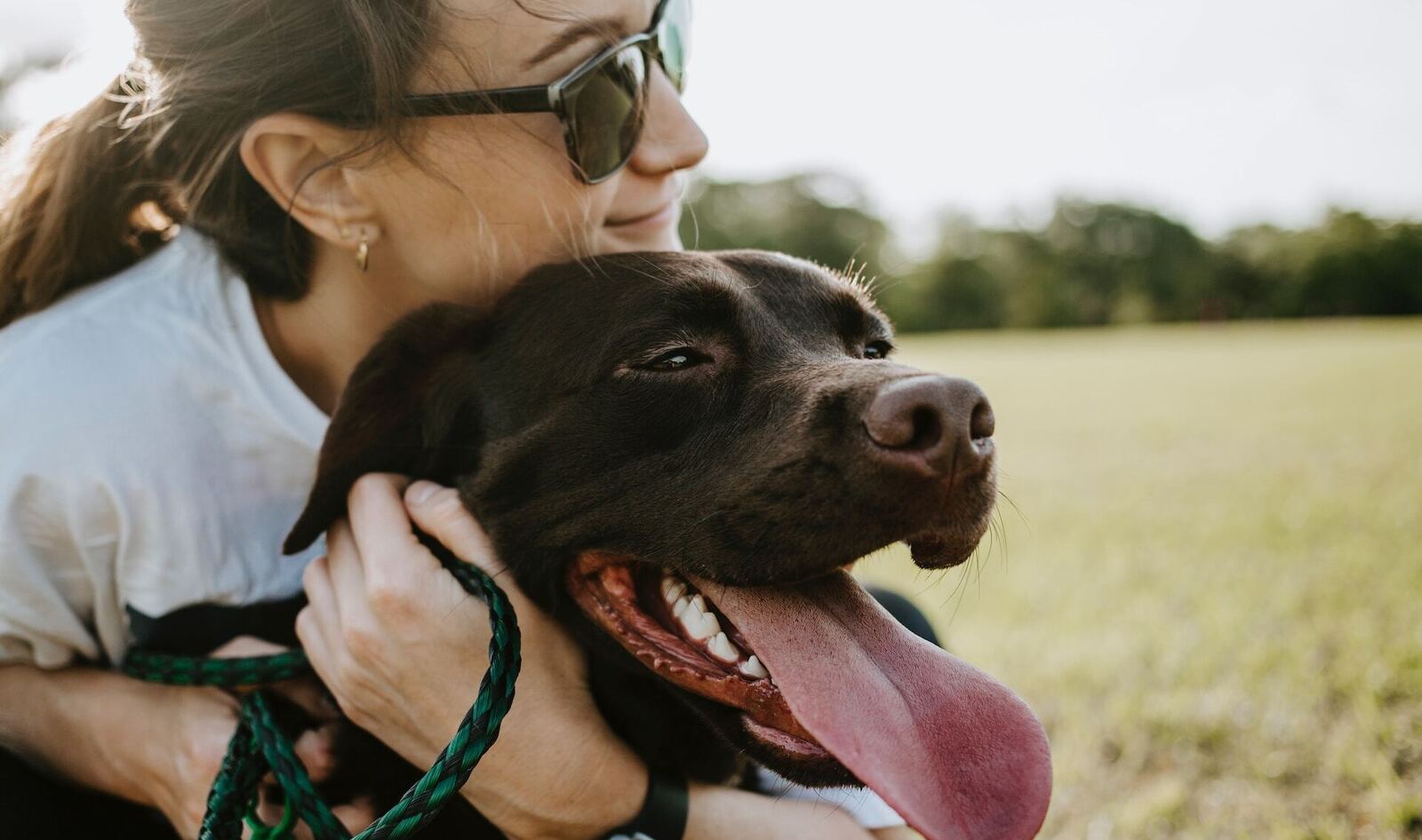 Fable Dog Toys- Environmental Enrichment for your Dog - Journeys