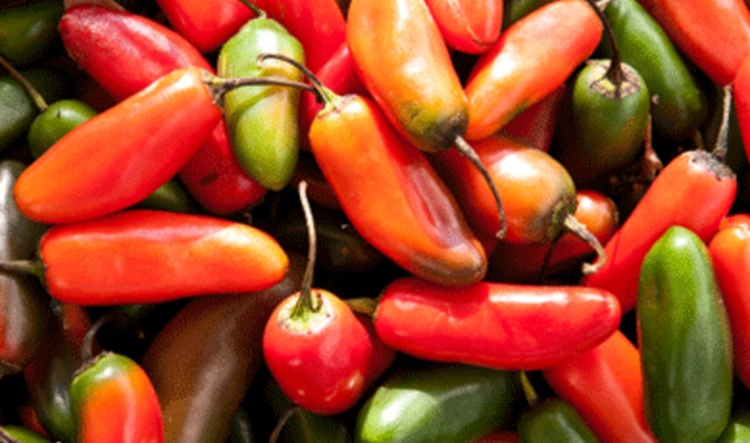 Recipe.Peppers