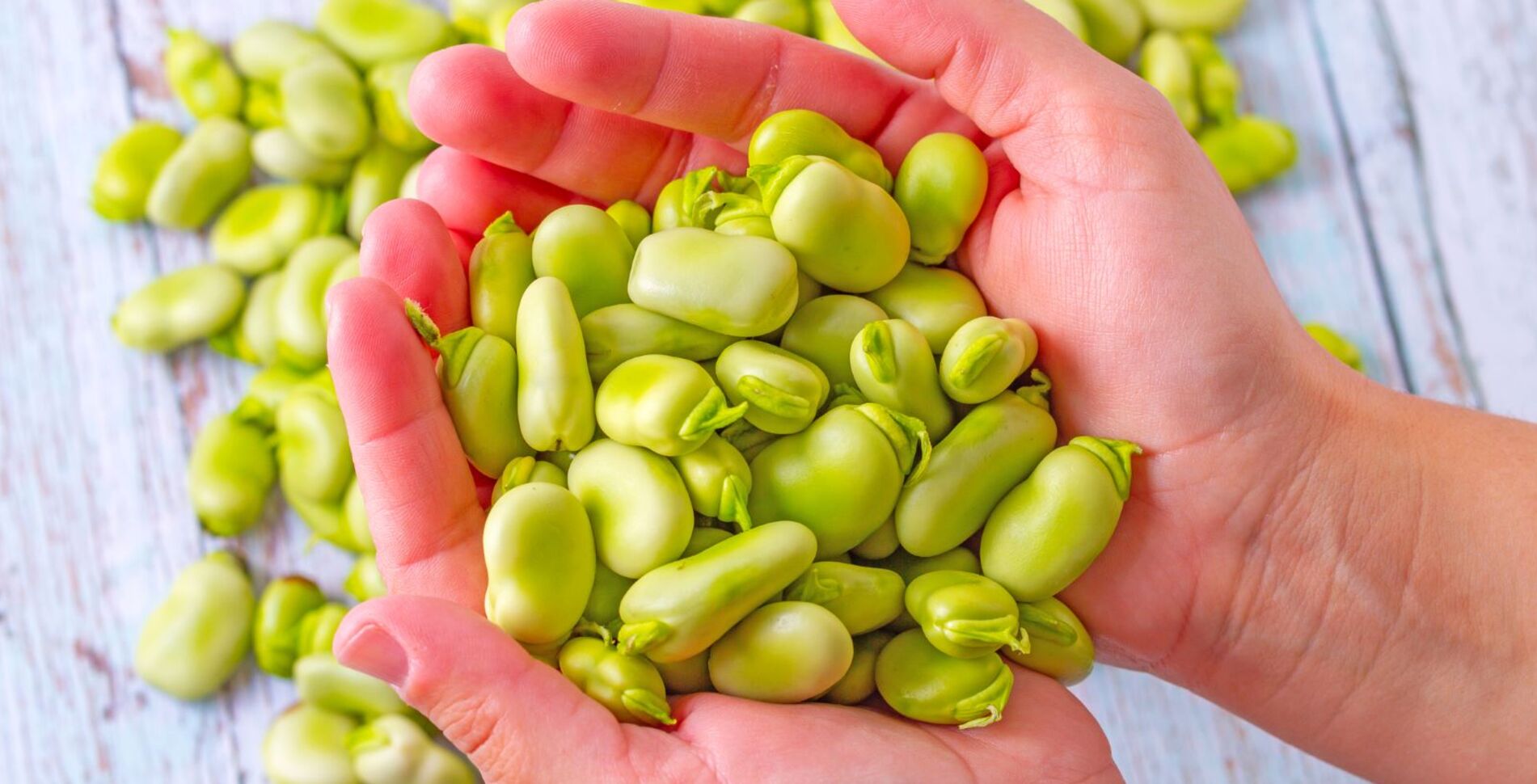 Replacing Meat With Beans Is Good for Your Bones, Study Finds