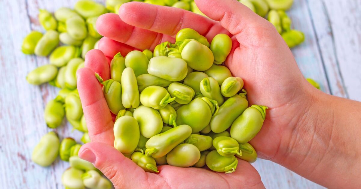 Replacing Meat With Beans Is Good For Your Bones, New Study Finds