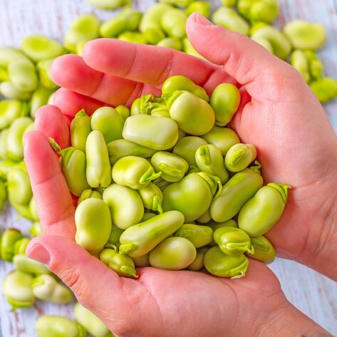 Replacing Meat With Beans Is Good For Your Bones, New Study Finds
