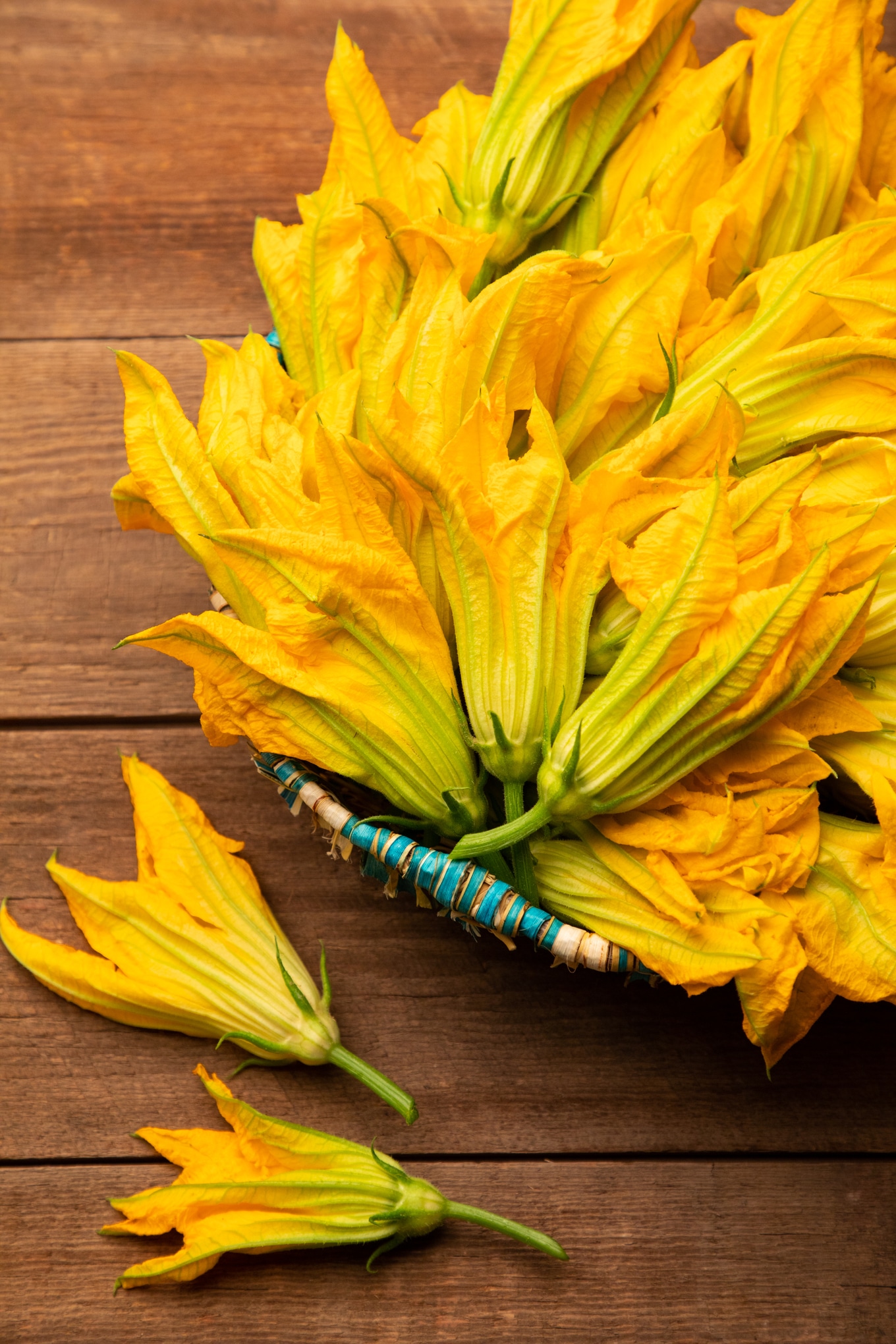 20210731_M8_Squash_Blossoms-50