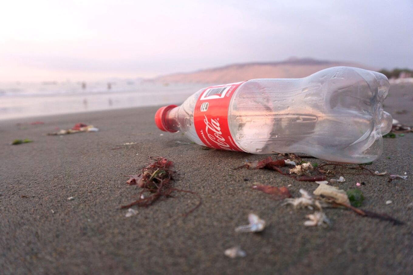 VegNews.CocaCola.Beach.Plastic.MariaMendiola.Unsplash