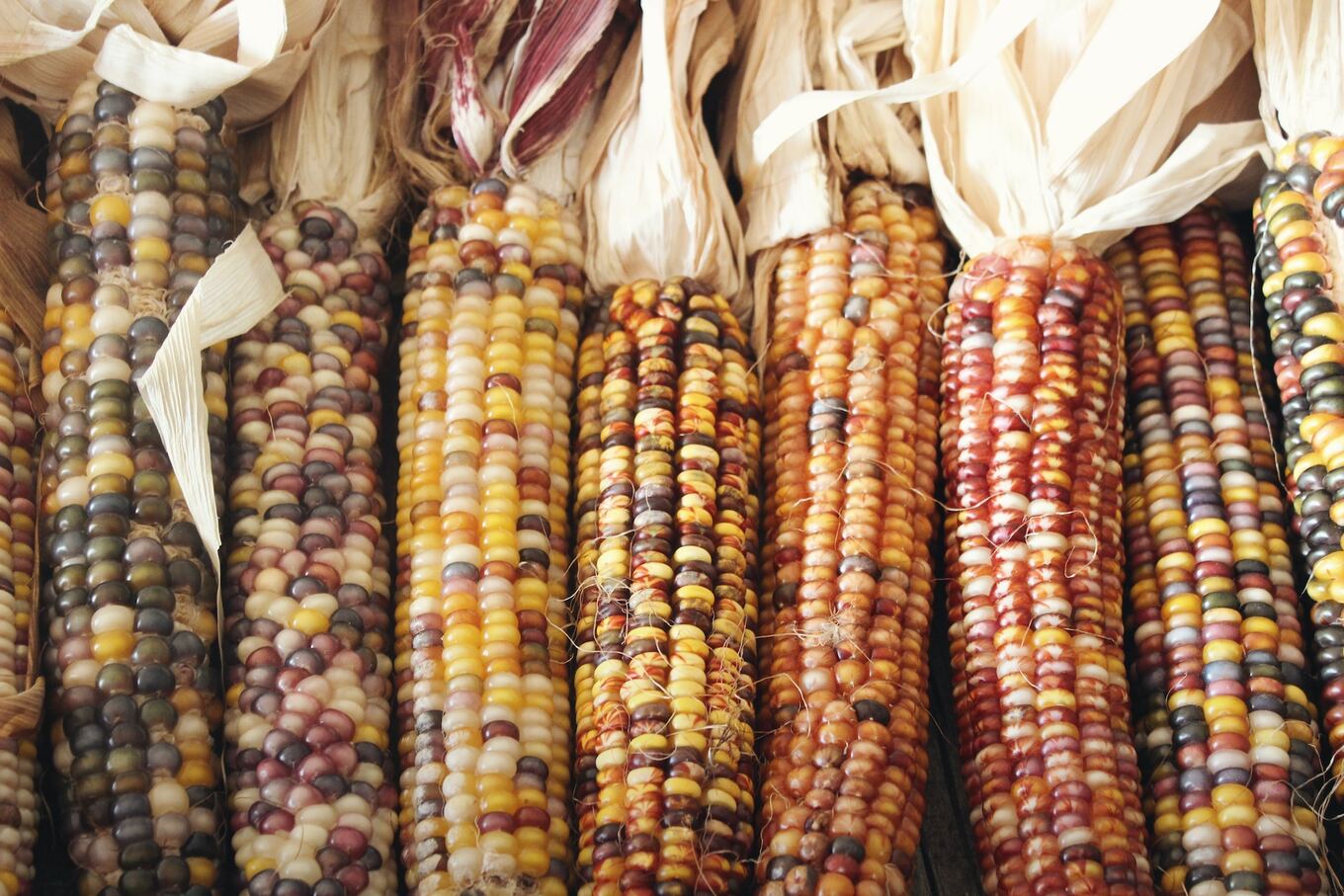 VegNews.Maize.JenTheodore.Unsplash